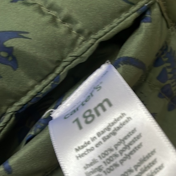 Dinosaur winter jacket - Picture 3 of 3